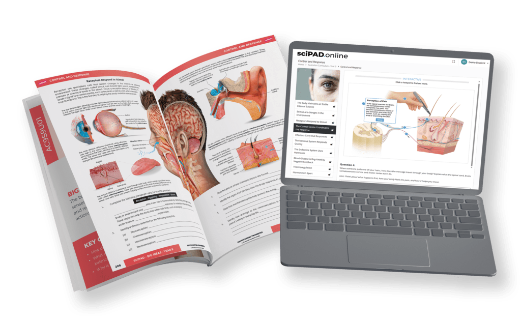 sciPAD workbook alongside the online platform